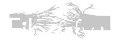 Fiberfy+
